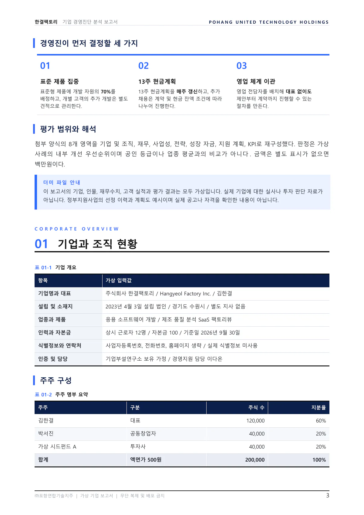 3쪽 01 기업과 조직 현황. 경영진이 먼저 결정할 세 가지와 평가 범위가 앞에 있습니다. 기업 개요 표와 주주 명부 표가 이어집니다.